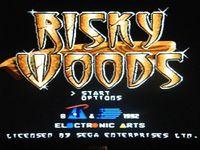 Risky Woods, capture décran